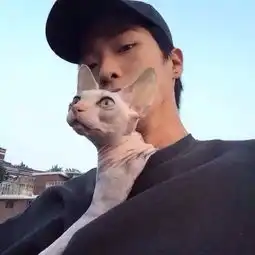 最真实的自己才能遇见最应该的那个人