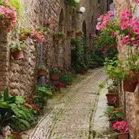 好看的清新淡雅风景微信头像微信头像图片大全