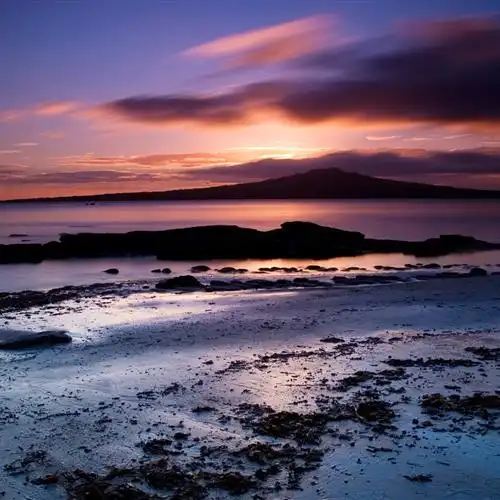 2023艺术自然风景头像