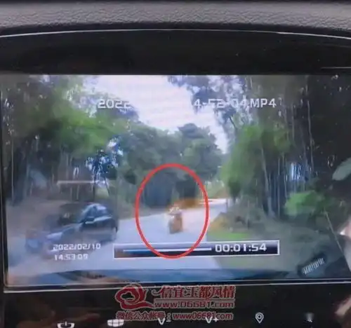 作死信宜一女装摩托车弯道逆行超车,惊险一幕被拍下......