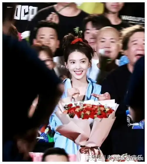 杨紫宋丹丹王一博成毅刘亦菲赵丽颖热巴白敬亭白鹿等