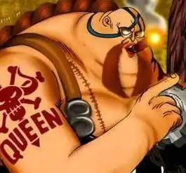 king,想不到你是这种人百兽海贼团皇副的稀有种族推测