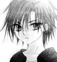 爱丽丝学院的大致内容,还有日向枣图片