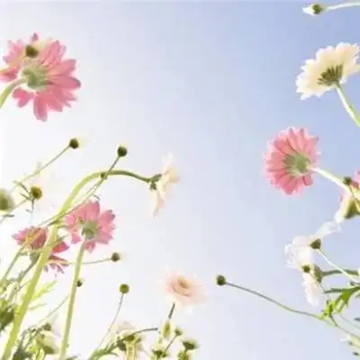 63岁,倾家荡产治疗84岁老母亲的病,却在余生中过成仇人