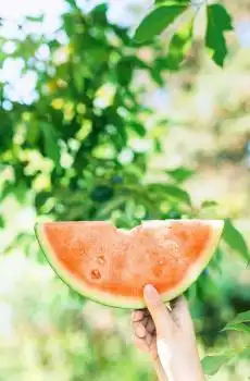 夏季小清新静物日系摄影