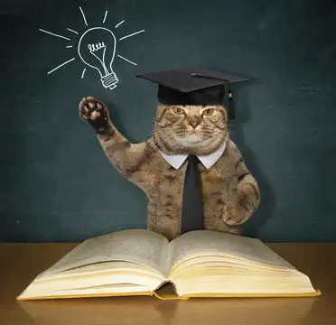 点击来源直接获取大图文件戴着黑色领带和学术帽的猫科学家在学校看板旁读书,看板上画着灯泡,他有了想法摄影搞笑猫猫高清大图