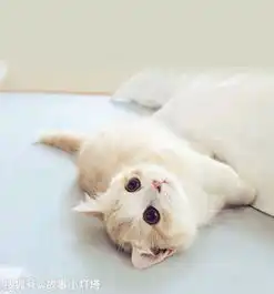 安徽一酒店房间内藏有摄像头,情侣用手机将其搜了出来