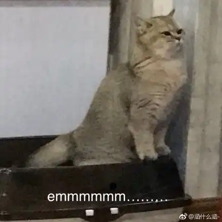 站着拉屎的喵,姿势好霸气