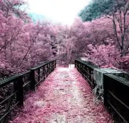 这下,栾城要火了