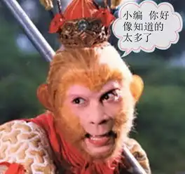 大圣驾到奉贤的孩子high翻了