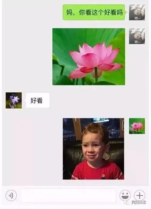 妈妈女儿微信头像卡通秦
