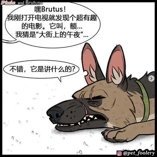 萌宠漫画蝙蝠侠小猫和罗宾军犬