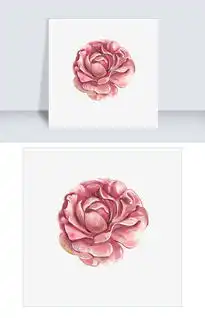 情人节花粉红色手绘细致少女心png免抠图图片素材psb格式下载动漫人物大全