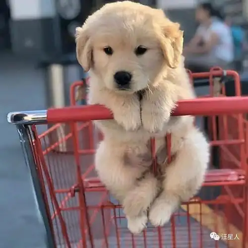 看见我了吧,怎么还无动于衷啊