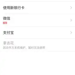 拿去花因合作方系统维护,暂时无法使用是什么意思