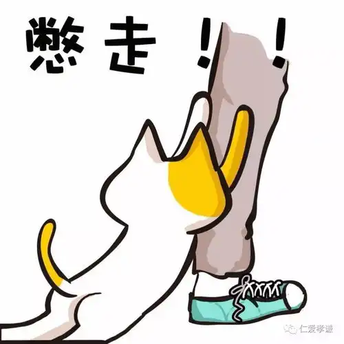 南昌仁爱慈善平台年会系列报道南昌仁爱大集结,欢聚乐玩一整场