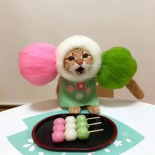 微信头像百看不厌