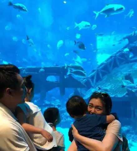 大s单方面宣布离婚,出手果然不一般,没见过对自己狠的女人