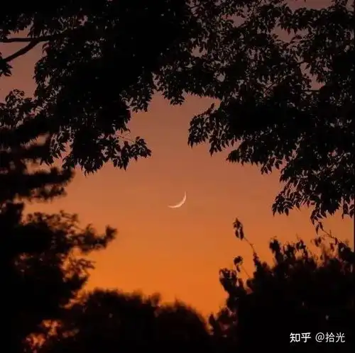 热门背景图片带字非常潮流好看的背景图干净简约背景图片ins治愈系背景图简单清爽的背景图