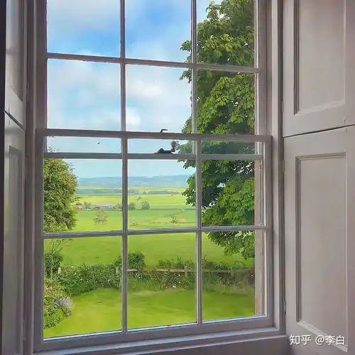 有没有纯色背景的卡通头像