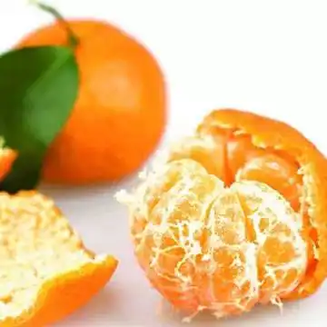 冬季养生吃六果,赶快拿去,不用谢我