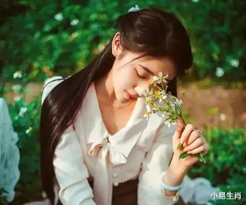 6月123号起,鸿运当头,财气满满,事业上一帆风顺的3属相