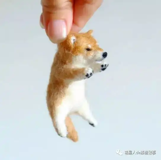 超小只的羊毛毡小动物,被拎起来的样子好呆萌啊