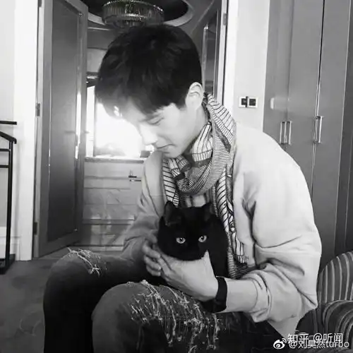 有没有什么很好看的男生头像