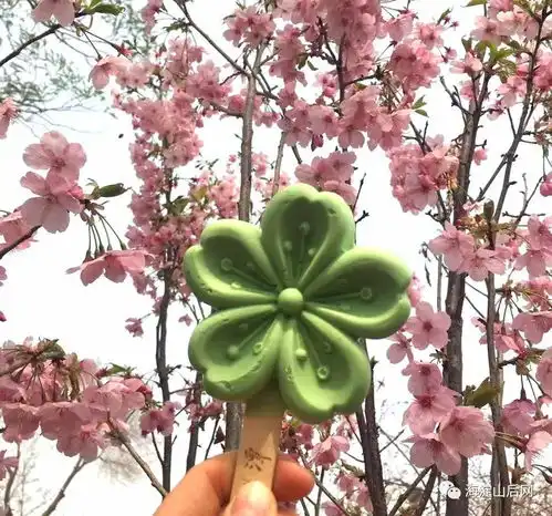 好美玉渊潭樱花节来了,竟然还有樱花冰琪淋,你吃过吗
