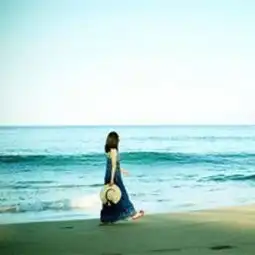 最新文章博客文章职业博客