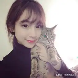 这是什么游戏这样酷