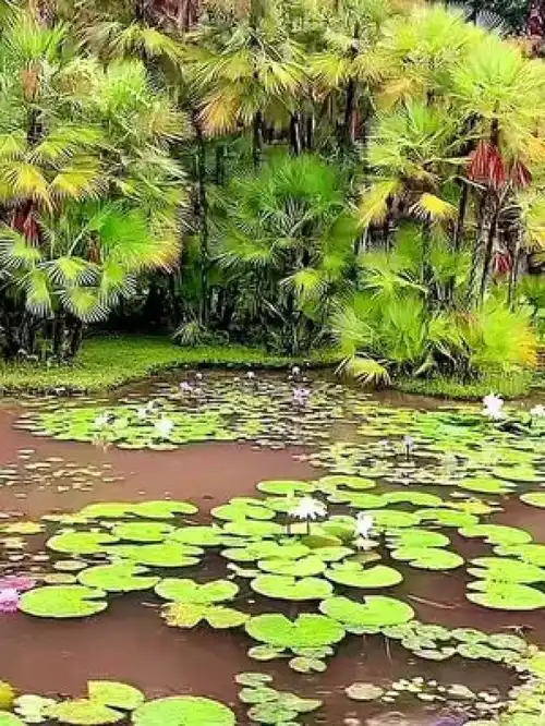 一起享受大自然的美治愈系风景
