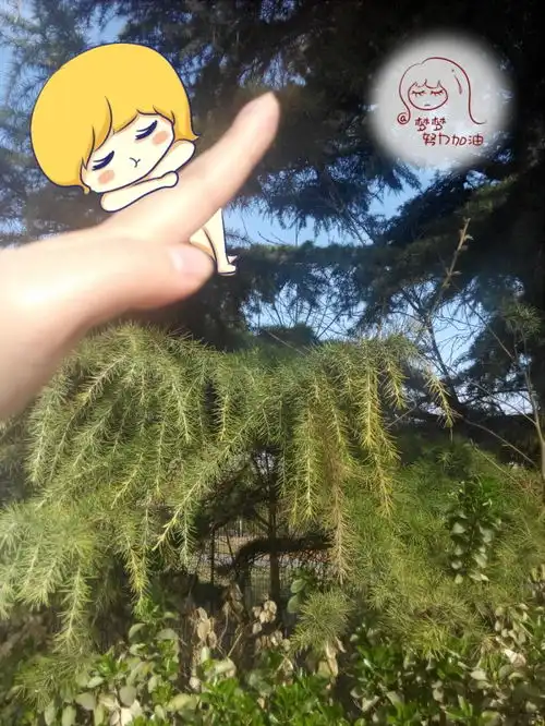 插画漫画手绘小清新头像壁纸卡通q版设计梦梦出游系列