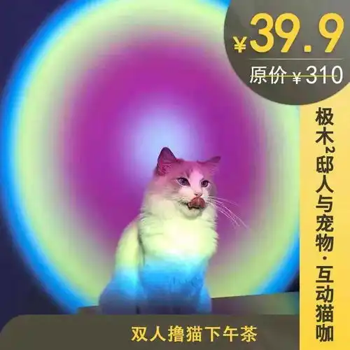 38元抢125元2张电影票爆米花,39.9元享310元双人撸猫下午茶...