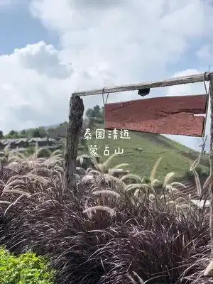 泰国异国风情治愈系风景一起享受大自然的美泰国清迈蒙占山