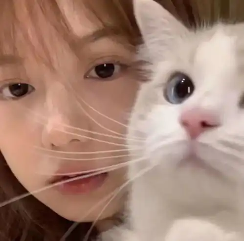 哇塞女头丨再漂亮