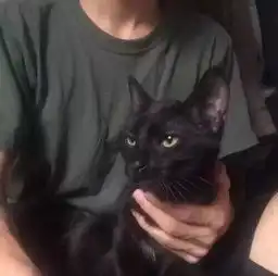 头像你凭什么指责一个爱你入骨的姑娘不够懂事