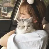 猫系女孩的照片情侣头像