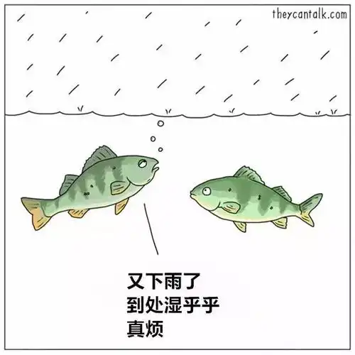它们一开口,人类震惊了