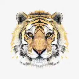 逼真老虎头像矢量素材图片免费下载高清图片pngpsd千库网图片编号4288957