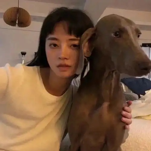 寻人狗合影的头像