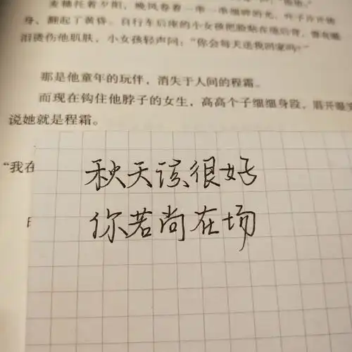 自愈系小众文案