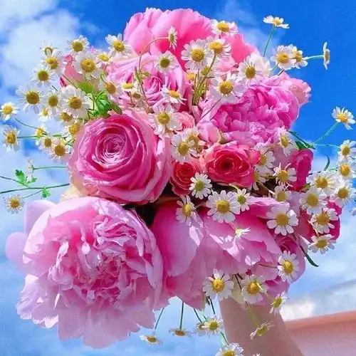 不要在金牛座面前说花开堪折直须折,朦胧的感情在他们面前无效