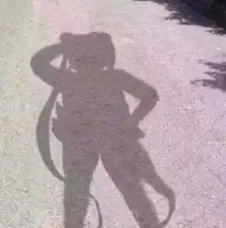 扬起ai的帆,经历一次关于进化的旅程