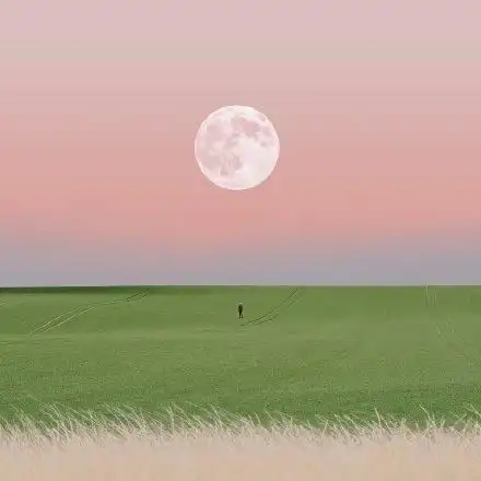 成熟不是为了走向复杂,而是为了抵达天真