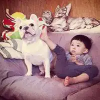 一个男生一个狗的头像微信头像图片大全