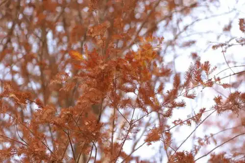 今冬会偏冷吗气象部门预测来了早安,中山