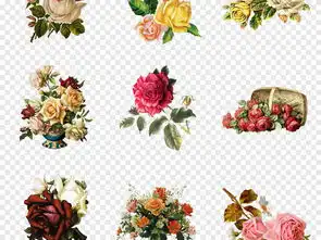 50款卡通浪漫唯美复古手绘玫瑰花花卉png免扣素材图片模板下载118.02mb其他大全生活工作