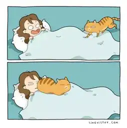 鉴定︱9张漫画再现猫奴生活,这是你吗