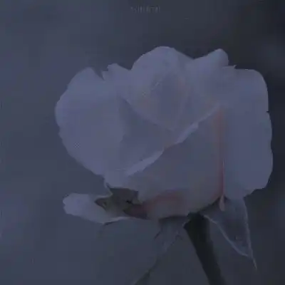 客桥.蓝色系风景静物背景图有人风景静物头像我要个性网